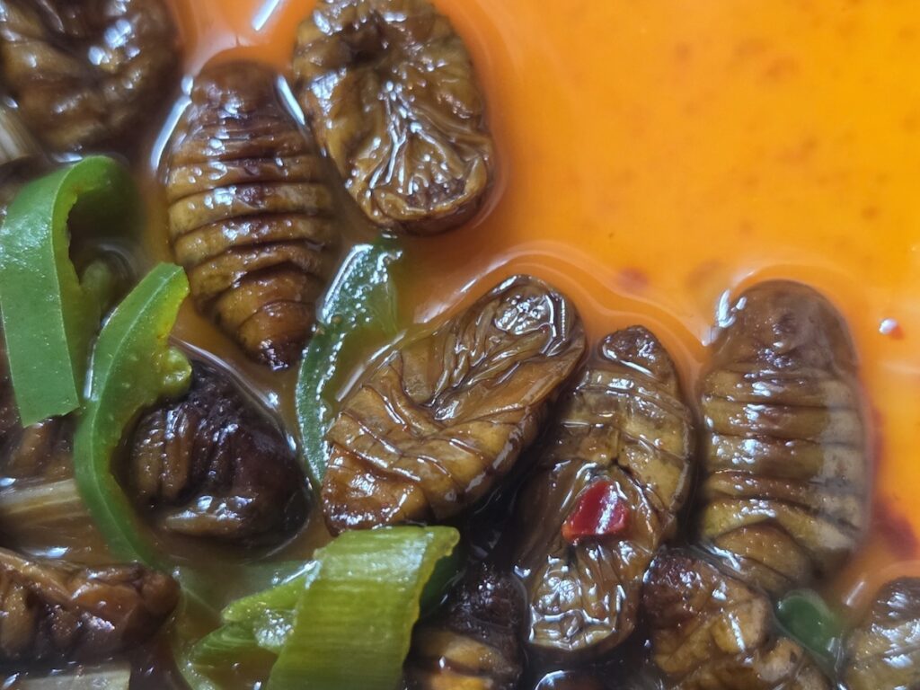 Close-up of authentic Korean street food beondegi showcasing the unique texture of silkworm pupae