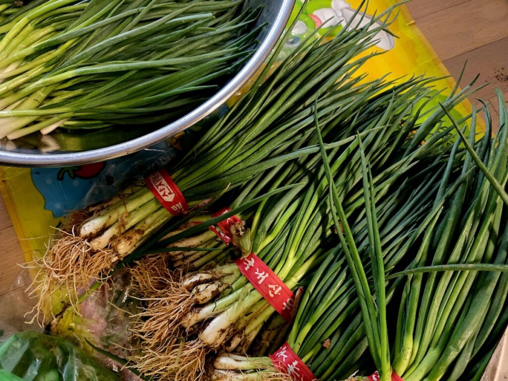 Best Korean Foods for Weight Loss featuring fresh, dirt-covered seasonal scallions (Pa) prepared for traditional Kimchi making.