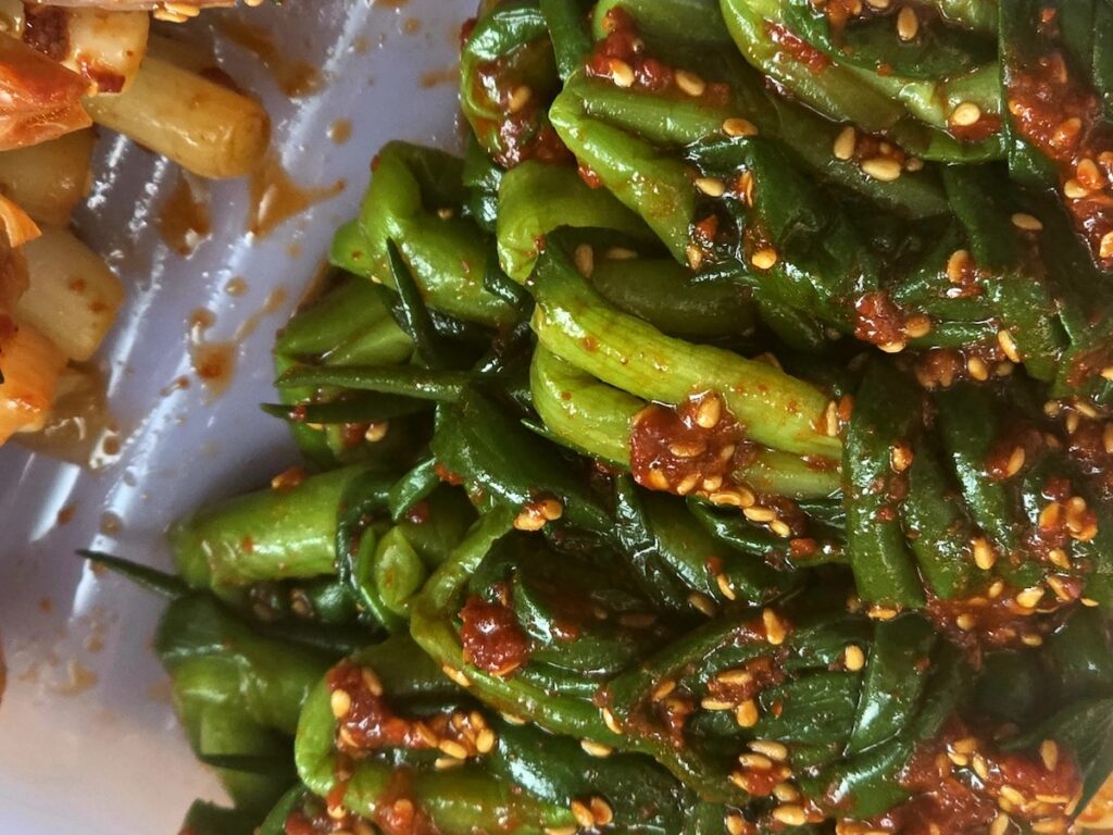Korean Green Onion Kimchi Benefits captured in a close-up of the fermented sauce and sesame seeds on a twirled strand of the most delicious kimchi.