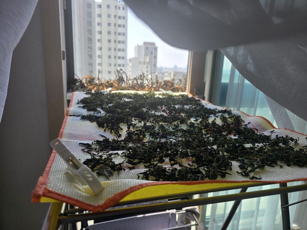 Dark green mountain herbs and vegetables spread out to dry on a mesh tray on an apartment balcony, representing the traditional Korean Namul preservation method.