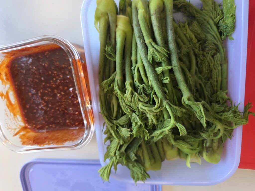 Unique Korean Food Challenge featuring blanched Dureup (Fatsia Aralia) shoots.
