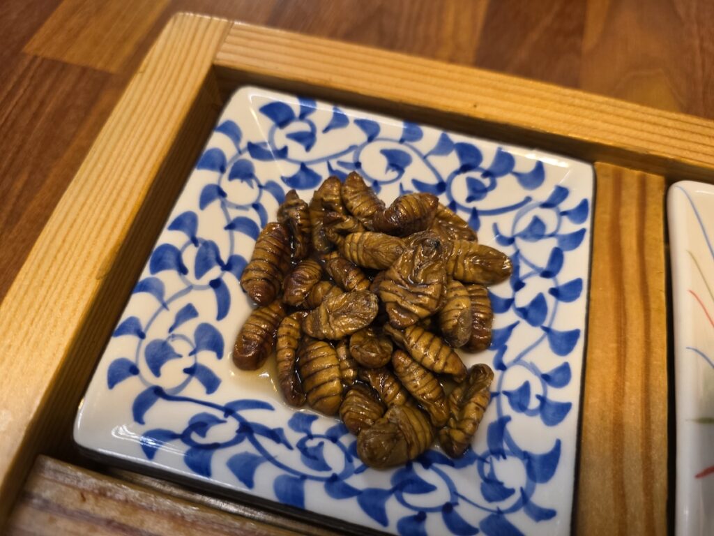 Steamed silkworm pupae, known as beondegi, served as a high-protein snack on a blue patterned ceramic plate.