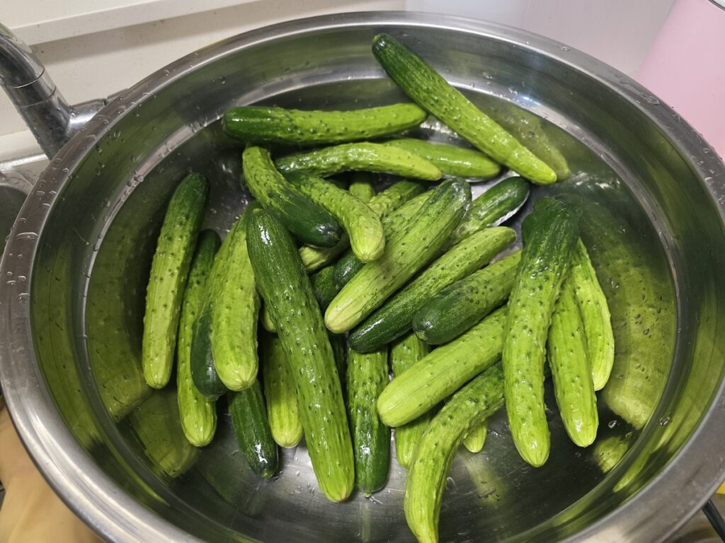 what to eat in Korea if you don’t like kimchi showing fresh cucumbers being prepared for oiji Korean side dish