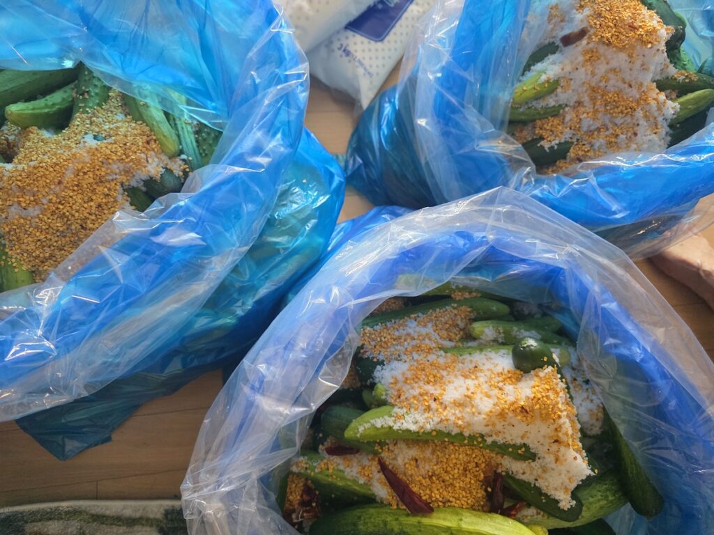 what to eat in Korea if you don’t like kimchi showing oiji Korean pickle process with cucumbers salt and seasoning